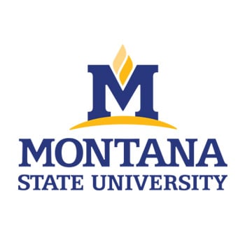 logo-montana-state