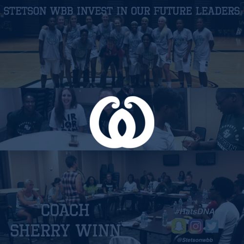 Sherry winn coach interactive program